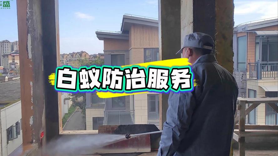 还在为白蚁烦恼?专业白蚁防治服务,为你排忧解难!
