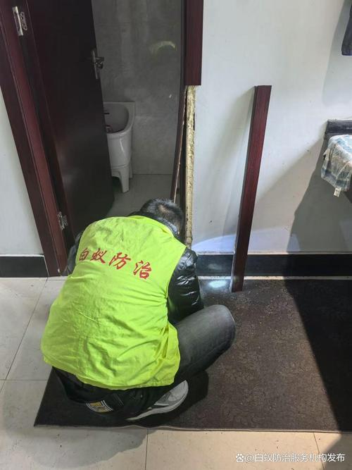 虹口区白蚁防治所及服务治理中心电话