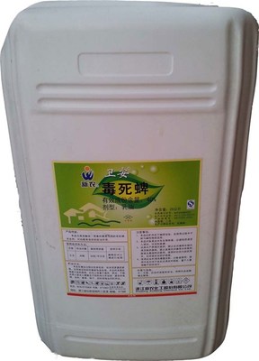 专业白蚁防治，守护家园安全——大东白蚁防治中心与海珠服务的专业力量