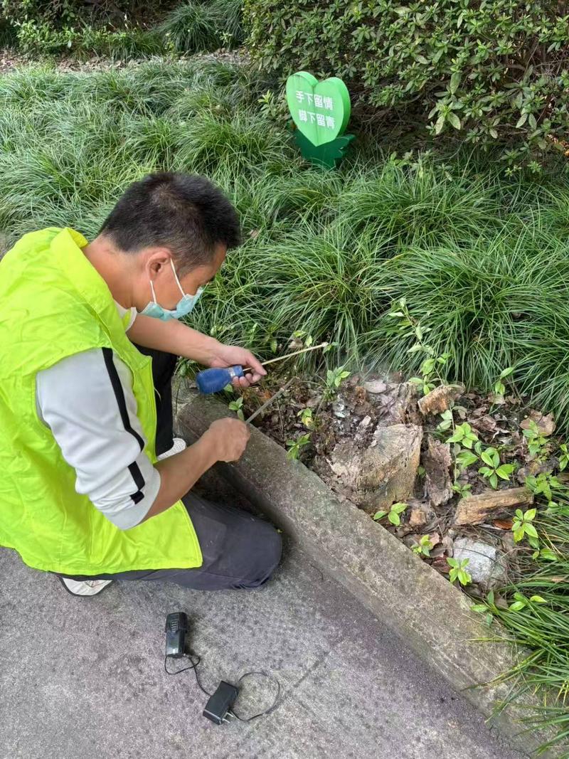 张家港市白蚁防治中心咨询电话