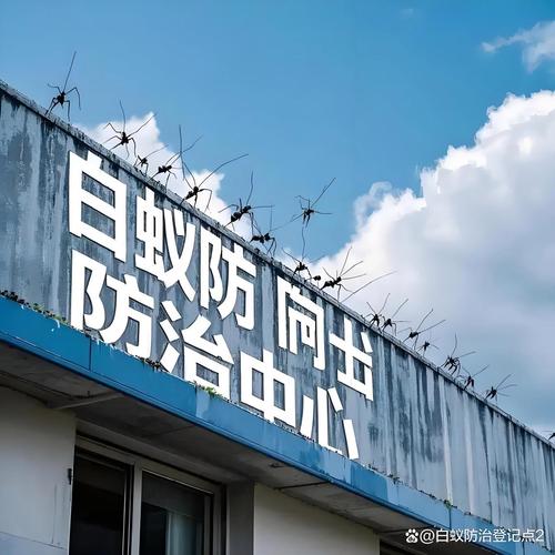 建德白蚁防治中心